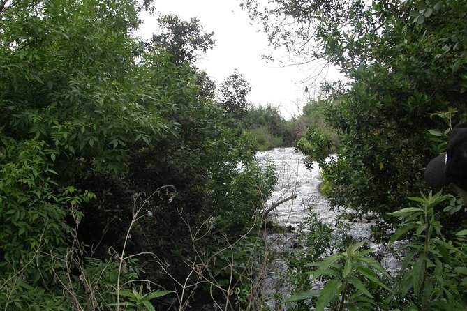 Private tour of the Israeli Far North - Tel Dan, Banias Reserve & Waterfall - The value of a $1,249 private tour