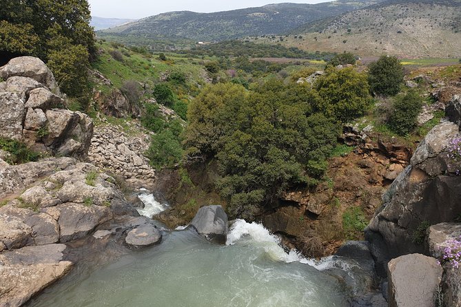Private tour of the Israeli Far North - Tel Dan, Banias Reserve & Waterfall - Practical details that affect your day