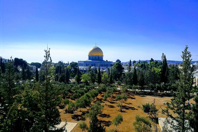 Private Tour: Old City of Jerusalem Christianity Tour - The Cardo and the Muslim Quarter bazaar