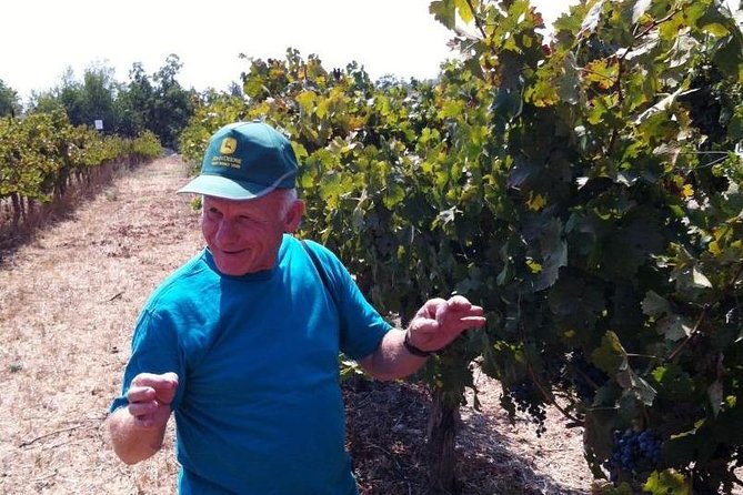 Private wine tour of Northern Israel - The ride north from Tel Aviv