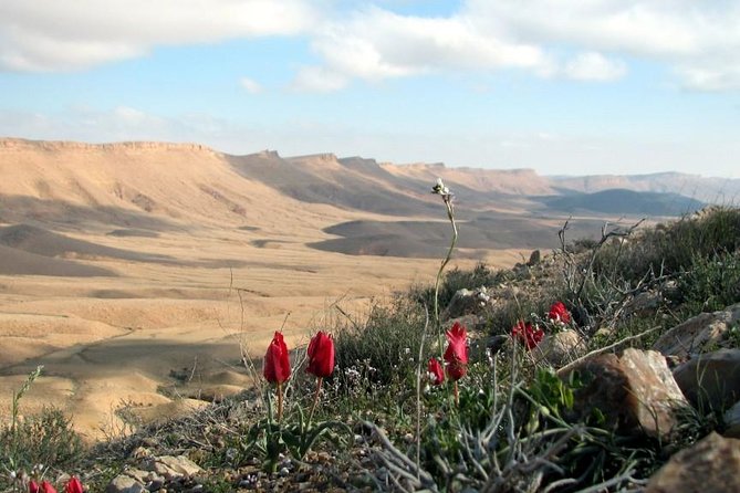 Ramon Crater Jeep Tour from Mitzpe Ramon - Beerot campground and the rehabilitated quarry