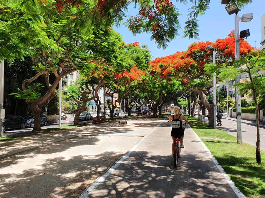 Tel Aviv 3-Hour Easy Bike Tour - Who will enjoy this ride most?