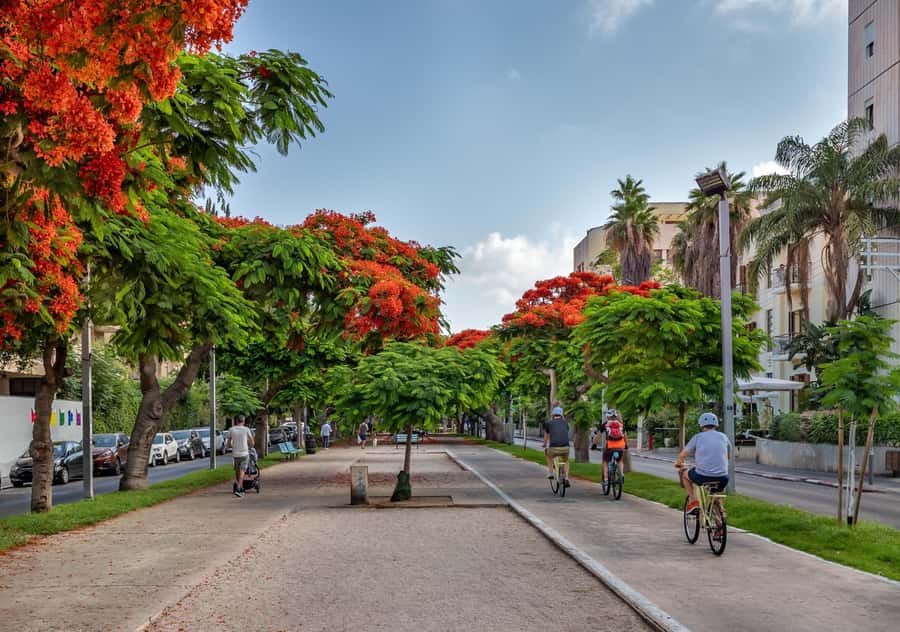 Tel Aviv: Carmel Market & Tel Aviv Tour with Tastings - Five useful things to know before booking