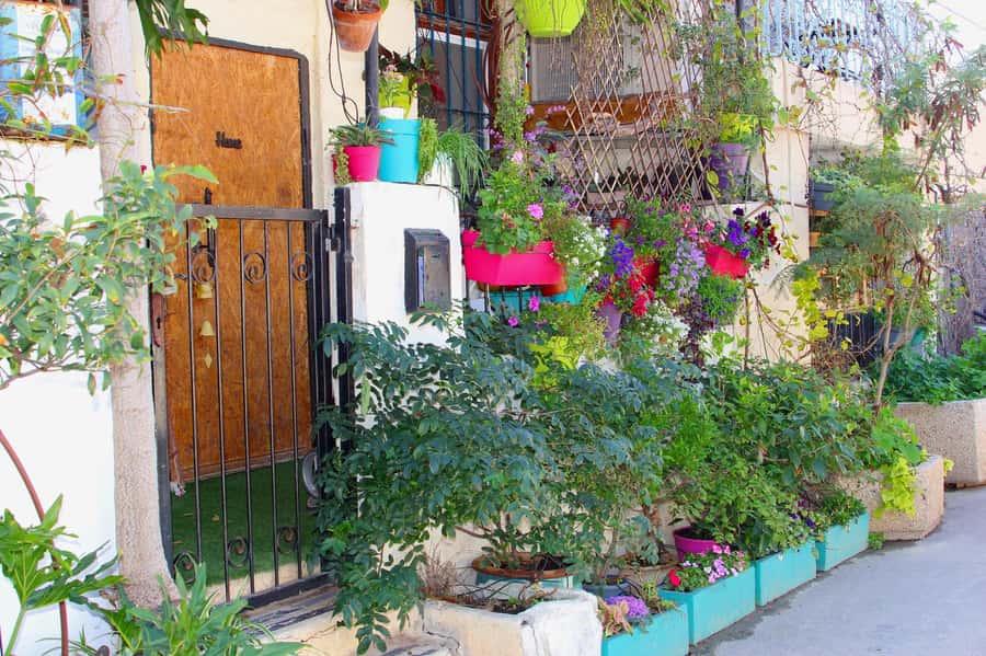 Tel Aviv: Florentin Saturday Walking Tour - Who will enjoy this walk most?