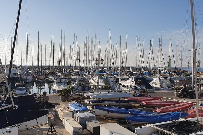 Tel Aviv Highlights Bike Tour - Tel Aviv Port and the Farmer’s Market