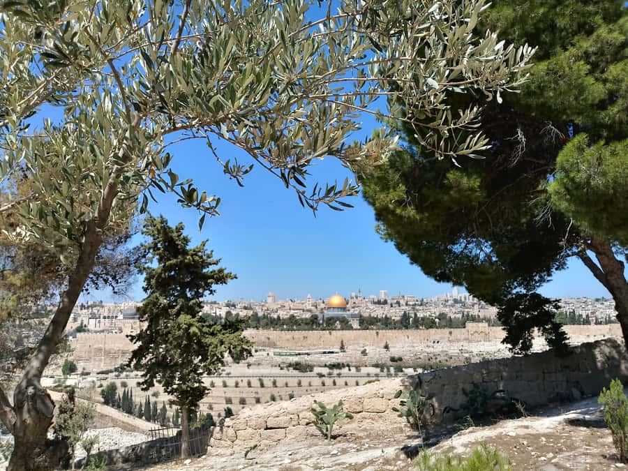 Tel Aviv: Jerusalem, Bethlehem & Dead Sea - Should you book it?