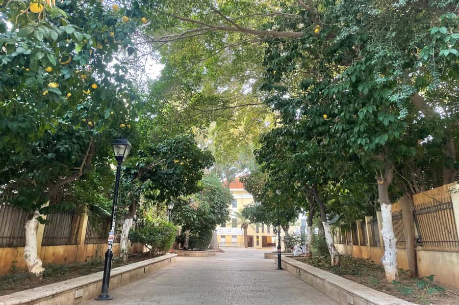 Tel Aviv: Neve Tzedek Cultural Walking Tour - Shabazi Street, Where Shopping Meets Street Life