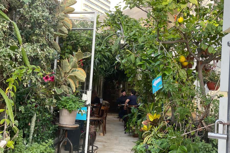 Tel Aviv: Neve Tzedek Cultural Walking Tour - Buildings in Several Styles, Including Bauhaus
