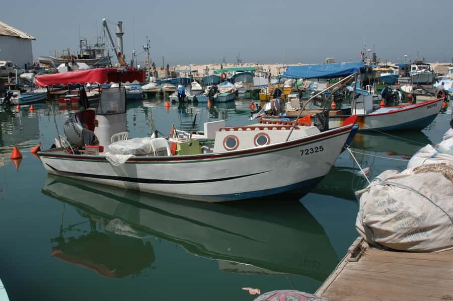 Tel Aviv: Private Two-World-Heritage-Sites Tour - Key reasons this tour works