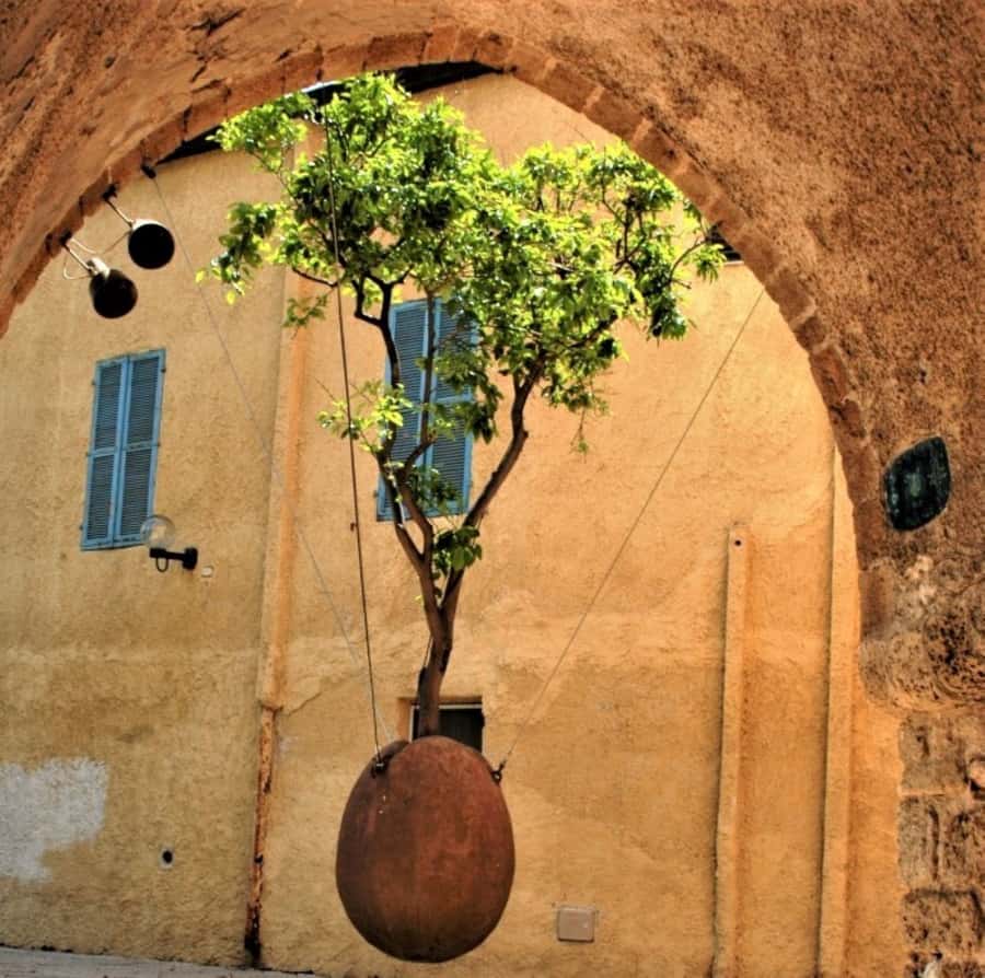 Tel Aviv: Private Two-World-Heritage-Sites Tour - Rothschild Boulevard and Tel Aviv’s White City