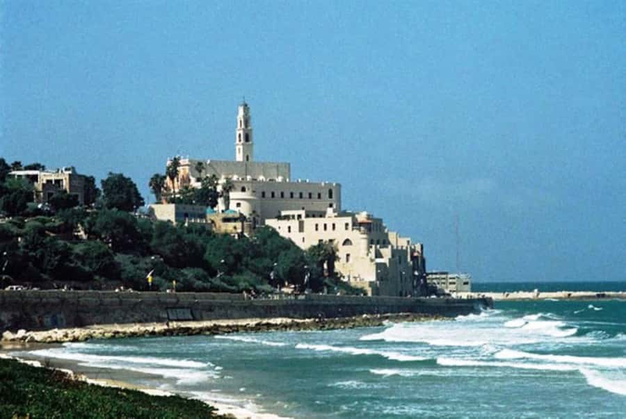 Tel Aviv: Private Two-World-Heritage-Sites Tour - What the private SUV adds to the experience
