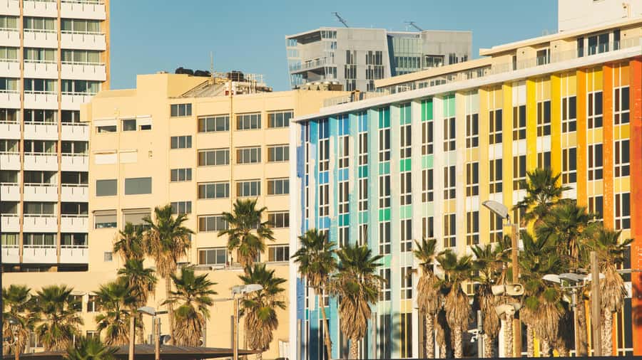 Tel Aviv's Bauhaus & Bohemian Vibes: Private Walking Tour - What the private guide adds