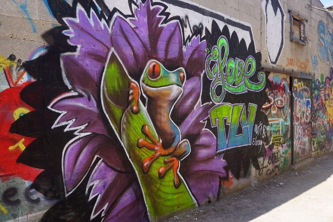 Tel Aviv Street Art & Graffiti Tour - Key points to know before booking