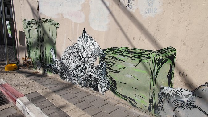 Tel Aviv Street Art Tour - Reading the social and political messages