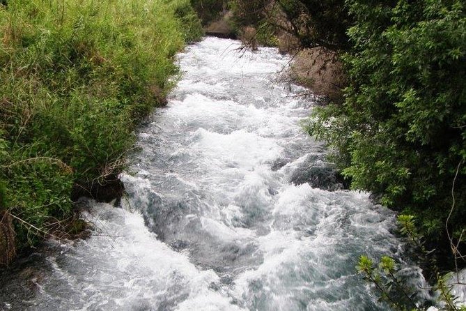 Tel Dan and Baniyas National Parks Private Tour - Who should book this experience?