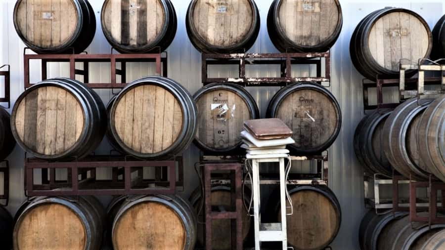 Wine Tour North of Israel from Tel Aviv - Key points at a glance
