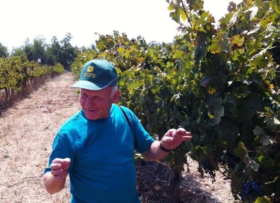 Wine Tour North of Israel from Tel Aviv - Who should book this wine day